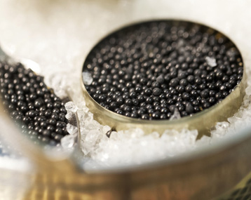 Volzhenka : l'art de vivre le caviar à la française - The Good Life